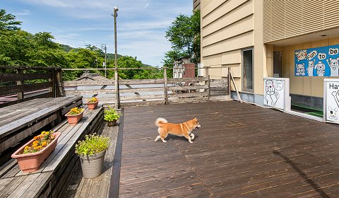 ワンちゃん（室内犬）同伴 | ワンちゃん（室内犬）同伴 | 咲花温泉